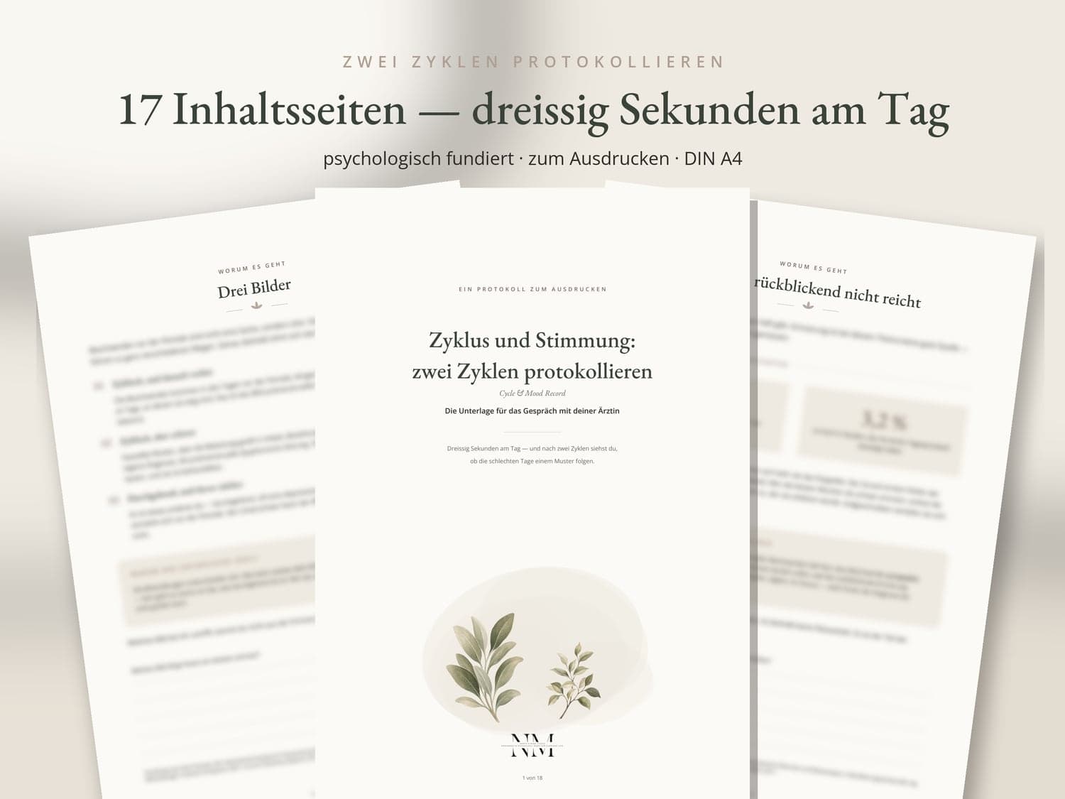 Zyklus & Stimmung — Was du bekommst