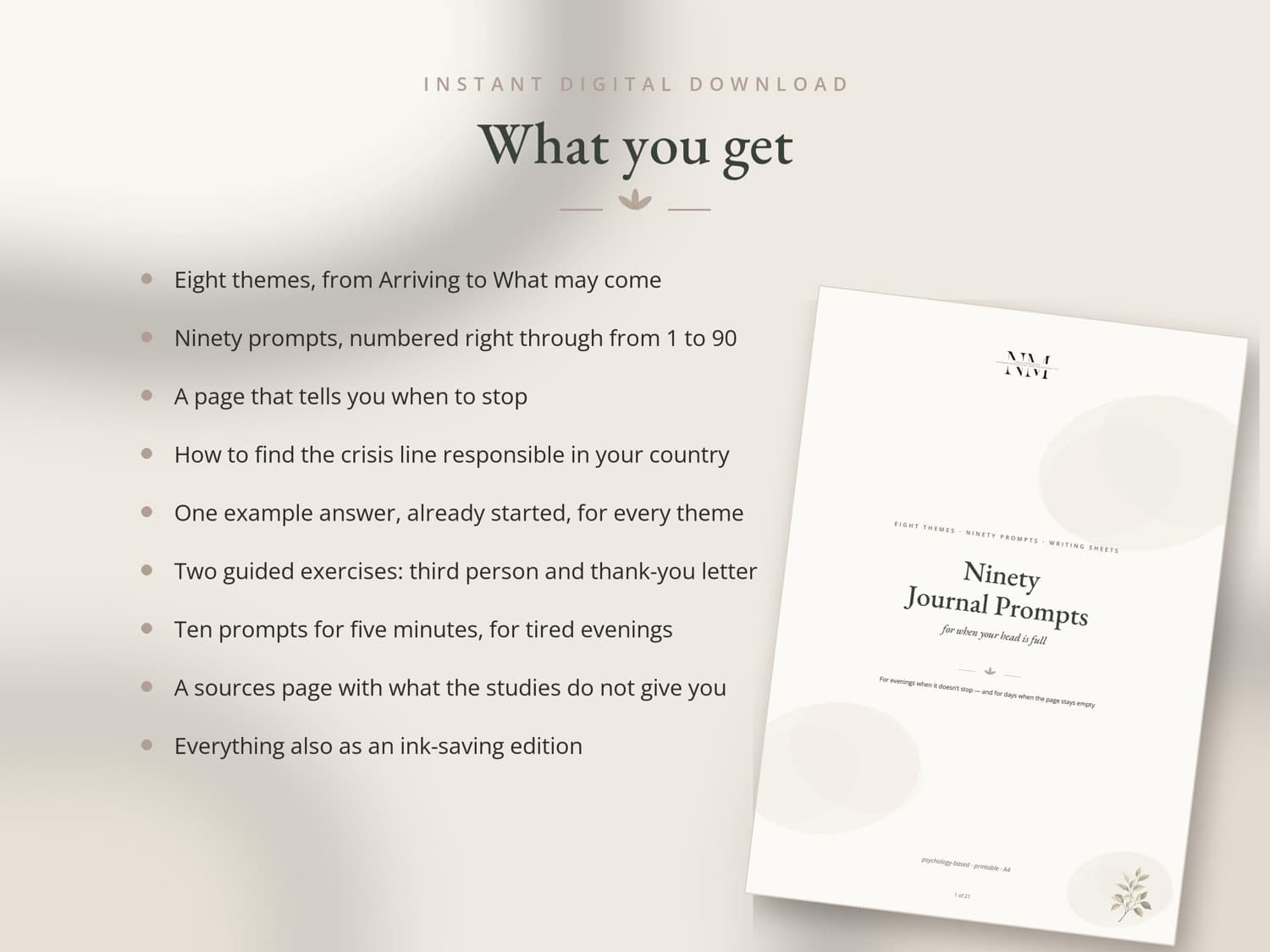 Ninety Prompts — What you get
